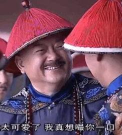 王刚和珅动态表情包,笑点满满，表情包界的“活宝”组合