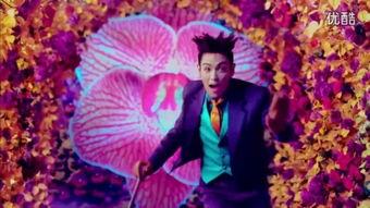 baebae花絮视频,幕后趣事大揭秘