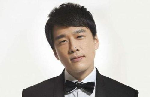 王元昊个人资料,才华横溢的青年才俊，探索创新领域的领军人物