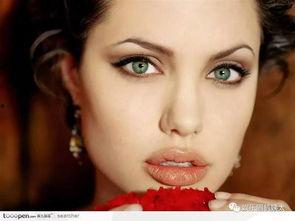 欧美明星在亚洲,欧美明星在亚洲的璀璨足迹与影响力