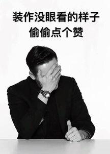 陈伟霆怎么肥四表情包,网络热梗背后的文化现象